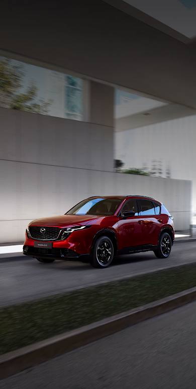 Damit die schönsten Reisen nie enden