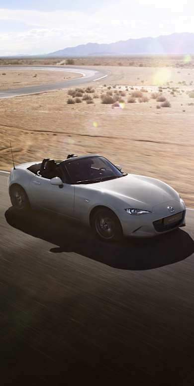 Seit 35 Jahren ein zeitloser Klassiker 