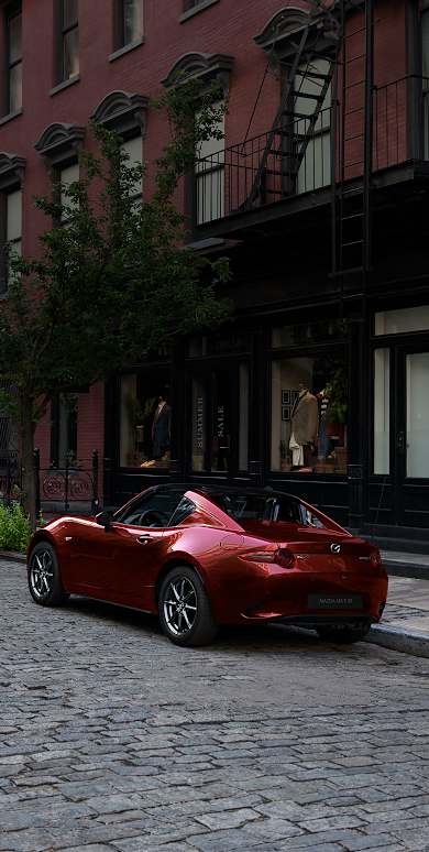 Seit 35 Jahren ein zeitloser Klassiker 