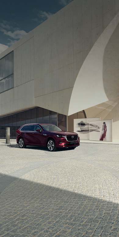 ENTDECKEN SIE UNSEREN GERÄUMIGSTEN CROSSOVER